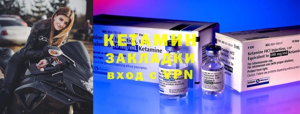 прущие грибы Инсар
