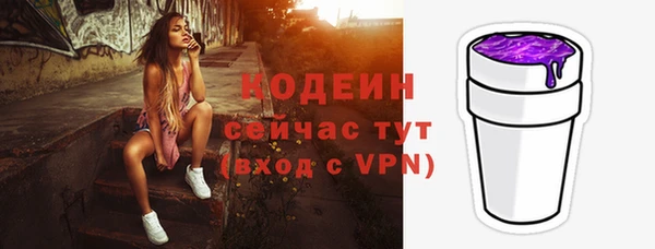 прущие грибы Инсар