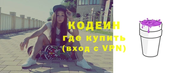 твердый Иннополис