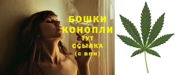 твердый Иннополис