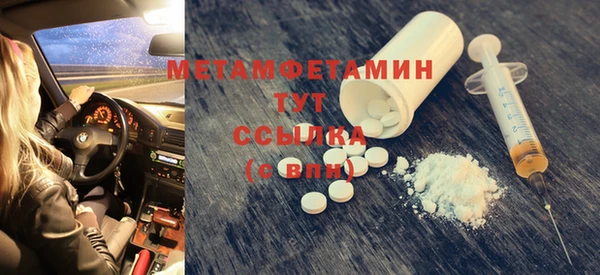 прущие грибы Инсар