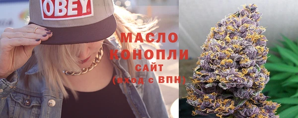 твердый Иннополис