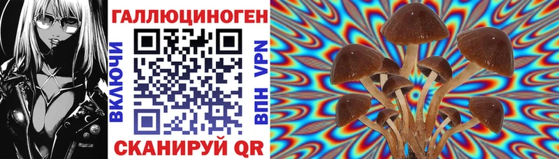 Купить где  Волхов  Галлюциногенные грибы MAGIC MUSHROOMS 